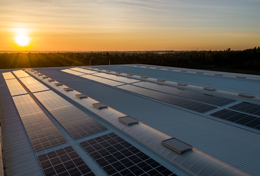 solar panels
