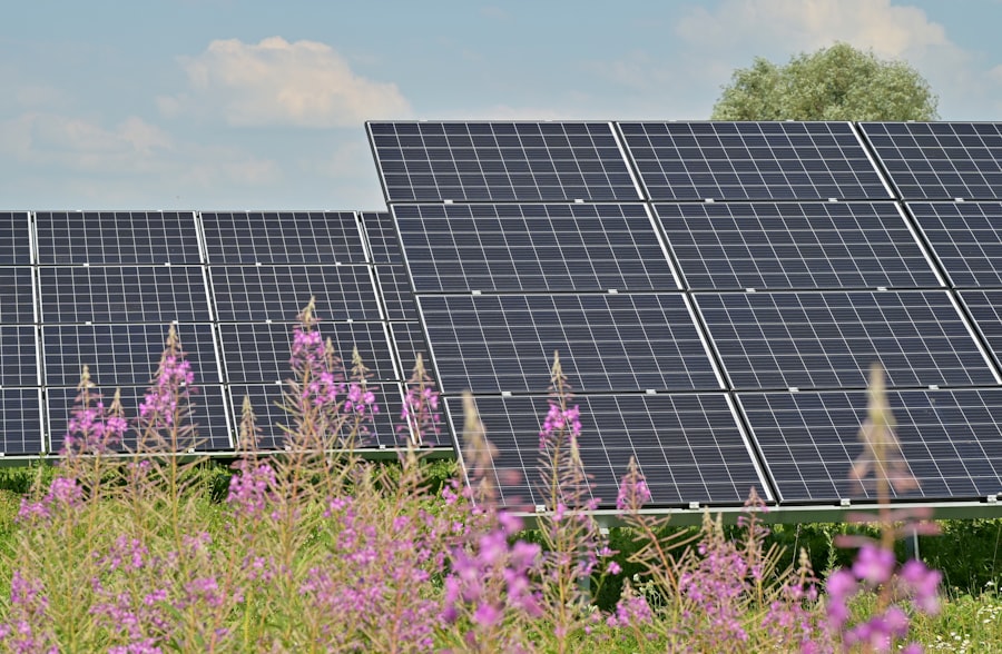solar panels
